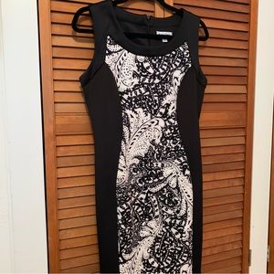 EUC Shelby & Palmer Midi dress